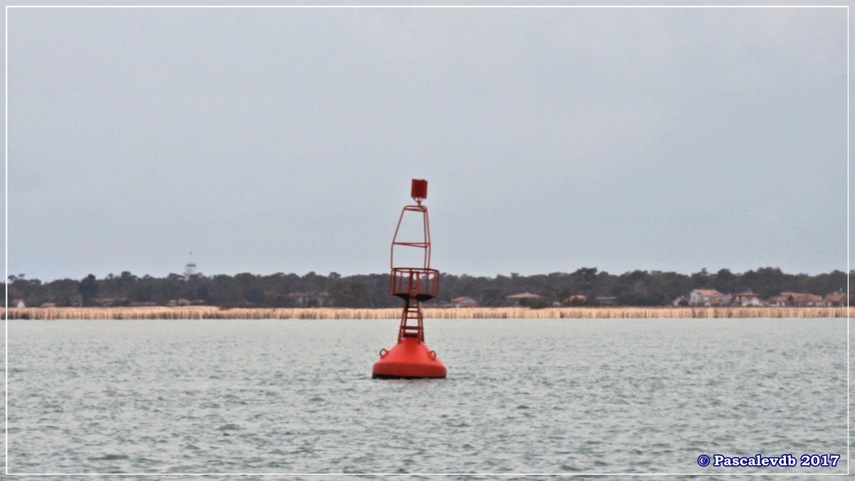 Traversée du Bassin entre Arcachon et le Cap Ferret - 11/14