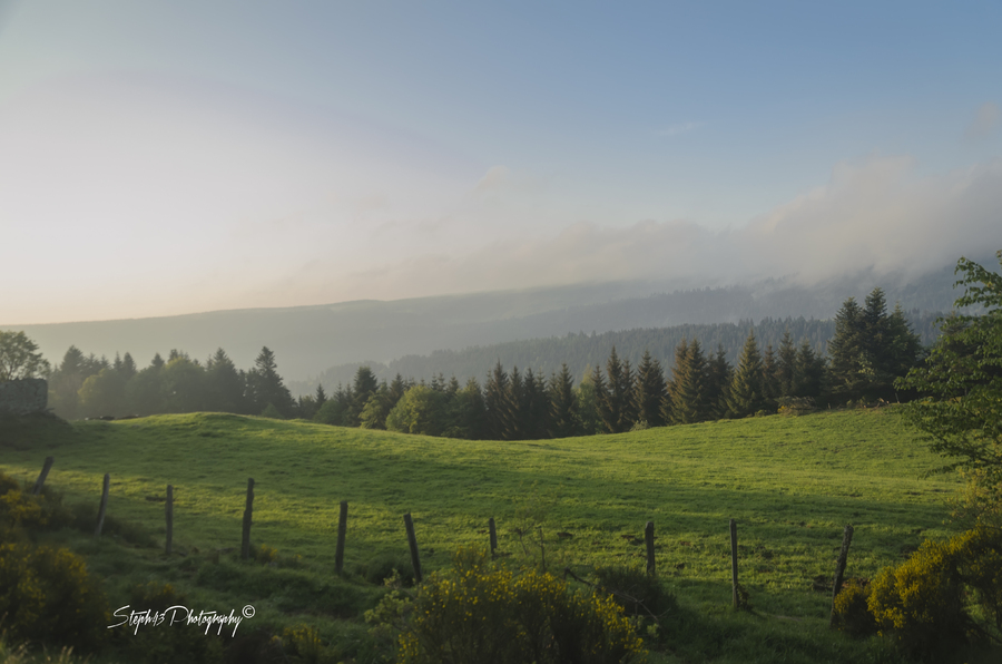 Plomb du Cantal (1855 m) / Fraisse Haut ( 944m) 