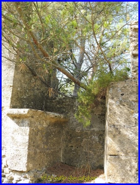 Les rives de la Durance, le château de St Esteve Janson