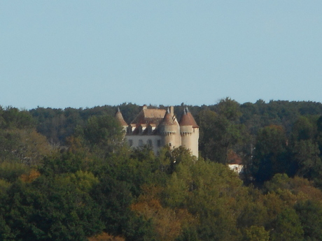 Randonnée de Saint-Civran, la marguerite.