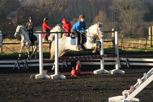 Laurène, Team LMs, équitation, challenge, Tornade d'Anguerny, élevage des Réneries,Centre équestre de Gournay