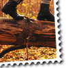 Avatars timbres divers pour sites en libre service