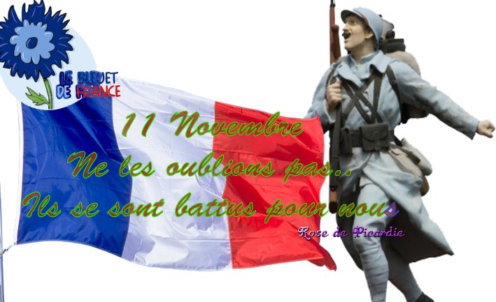 Peut être une image de 1 personne et texte qui dit ’ÛEBLEOET DE FRANCE 11 novembre Ne les oublions pas.. Ils se sont battus pour nous Rose Picardie’