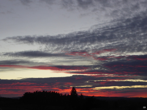 Ciel du jour!