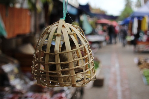 Le marché de Louang Prabang