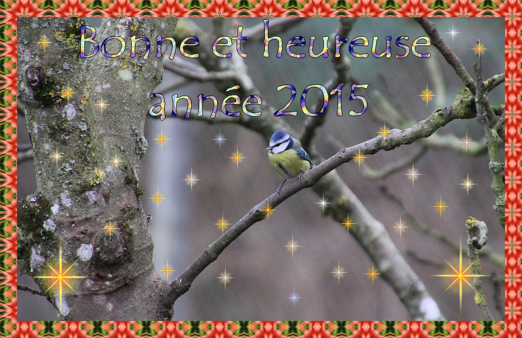 Bonne et heureuse année 2015