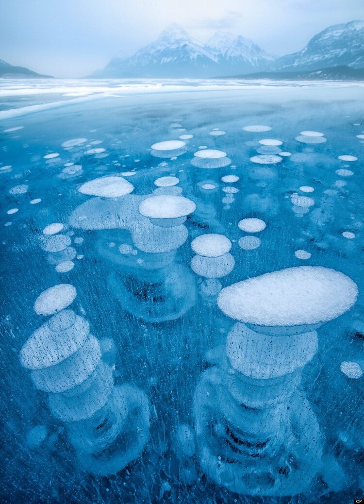 Incredible images of ice bubbles, Abraham Lake, Canada - 28 Jan 2013