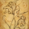 Fleur (dessin)