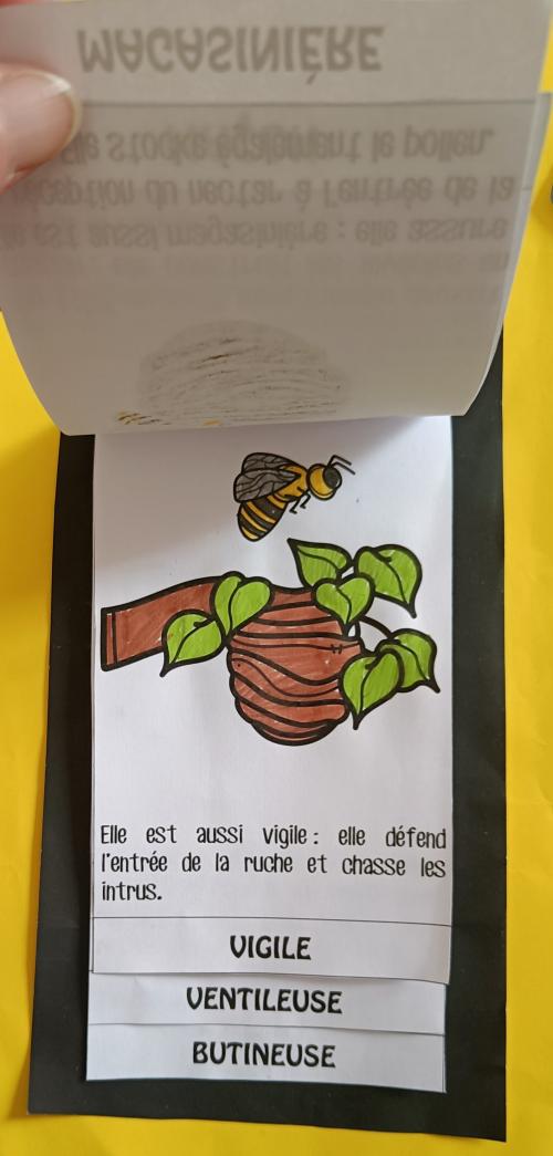 les abeilles
