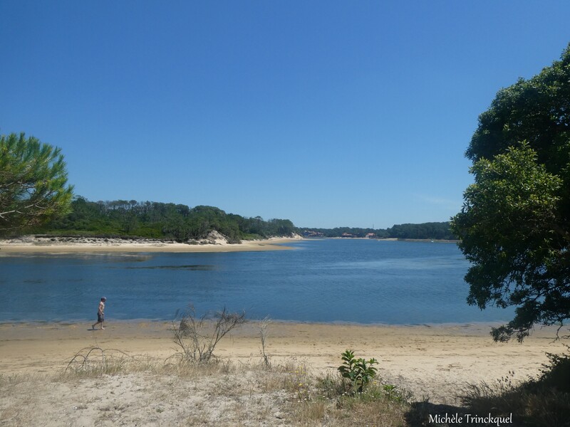 Une balade autour du Lac de VIEUX BOUCAU (40), le 25 juin...