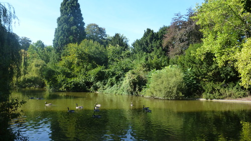 Petite promenade hier au lac de Saint Mandé chez moi