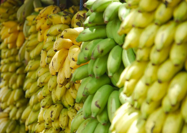 banane-exploitation-eco-responsable
