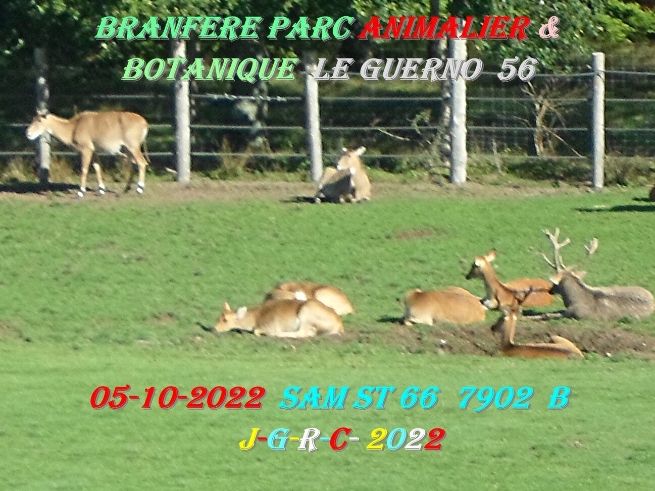 PARC DE BRANFERE 56190 LE GUERNO:  13/16   D  15-04-2023