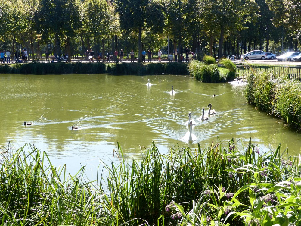 La Hotoie, un autre parc dans Amiens 