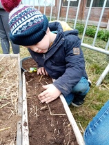 Les carrés potagers des MS GS