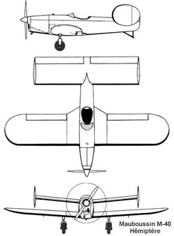 HEMIPTERE