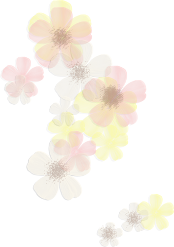 Fleurs en Farandole Série 24