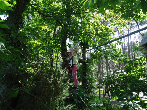 Sortie à Monkey forest