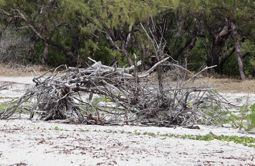 Les 5 îles, île Maurice, 2024