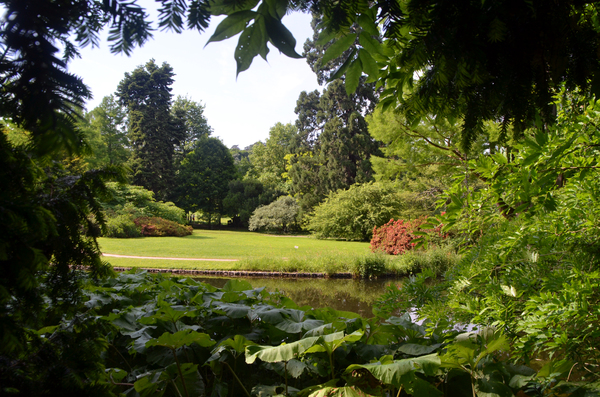 Promenade dans l'Arboretum de la Vallée aux loups et visite de la maison de Châteaubriand