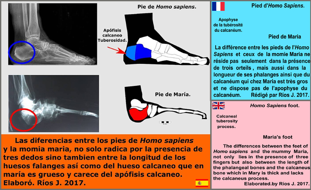 Alien Project : Les momies du Pérou/3