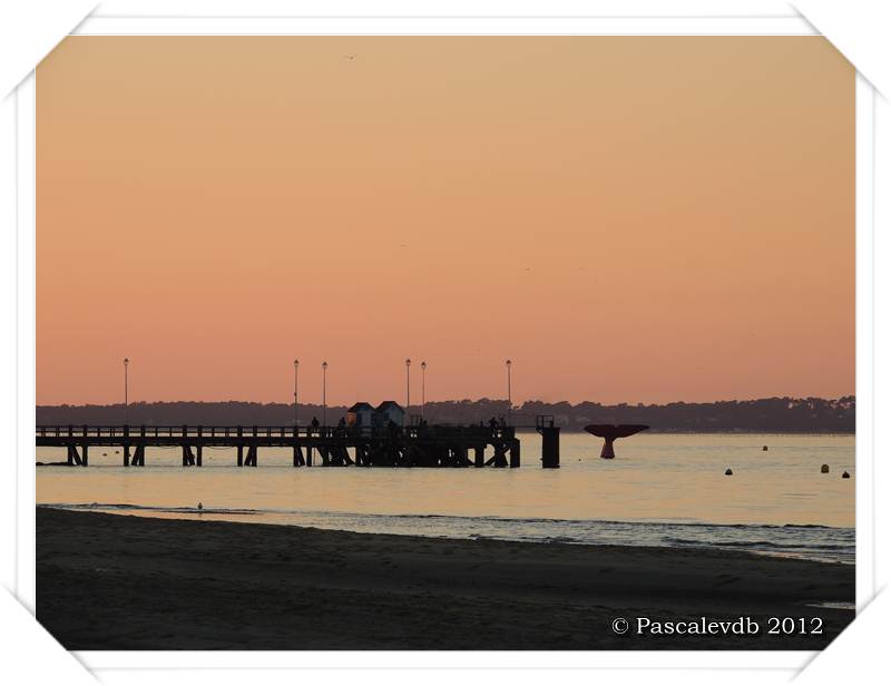 Un après-midi à Arcachon - 5/5