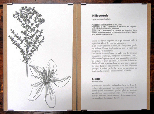 Une belle exposition d'illustration sur les plantes du Châtillonnais a eu lieu à la Bibliothèque Municipale....