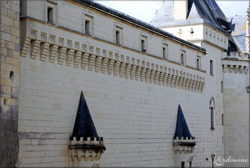 Photo de détails architecturaux du Château de Breze