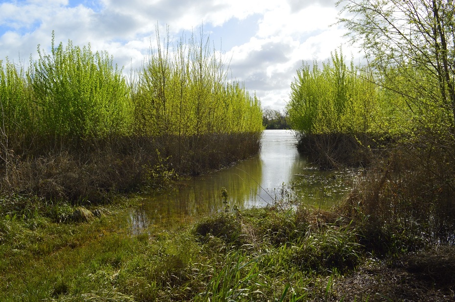 Rando Beaugency/Lestiou