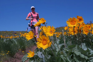 season runners running mild flowers 