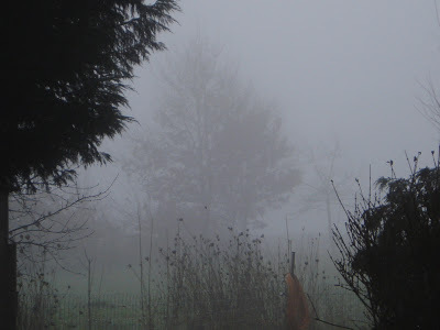 Brouillard.JPG