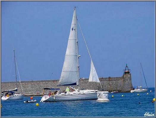 Voiliers_Collioure_2