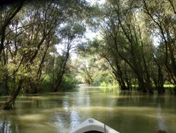 Page 14 ... Delta du Danube / Dobrogea - 2