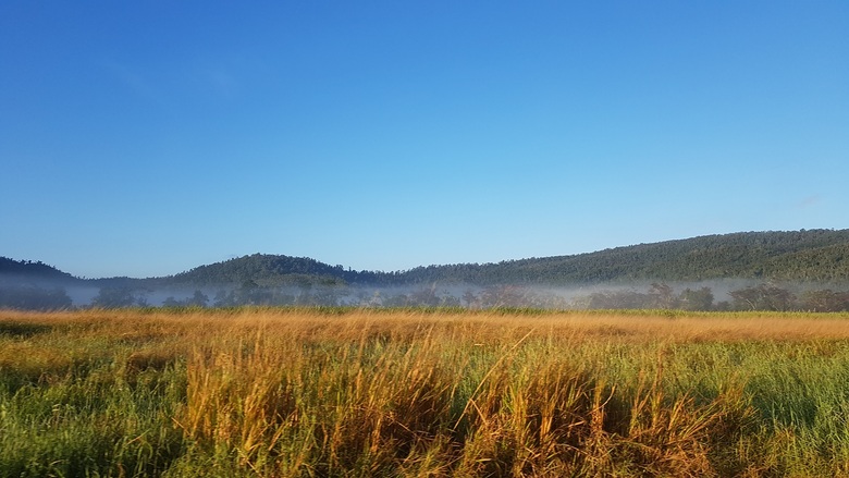 29 Juillet 2019 - Paluma National Park & Forest Beach