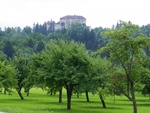 Château de Bled côté campagne