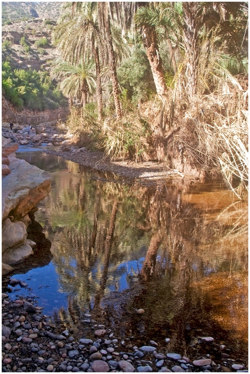                    photo diverse  de  de la  mer  en passant  par lr  Maroc