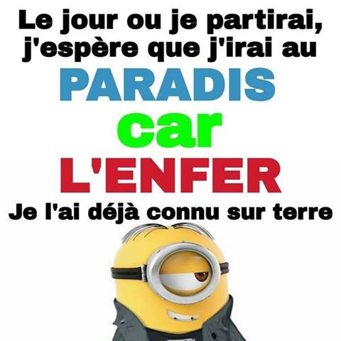 LES  MINIONS  et  AUTRES  5