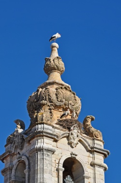 ...Faro...