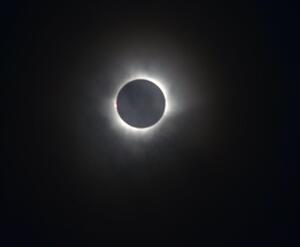 Los Gringos ont vu l'éclipse (9 Mars)