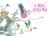 Livre: A vol d'oiseau, Michel Francesconi, Les éditions du Ricochet, Ohe La  Science!, 9782352631736 - Le Bateau Livre