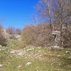 Retour au col (1091 m) pour contiunuer sur le sentier, en face