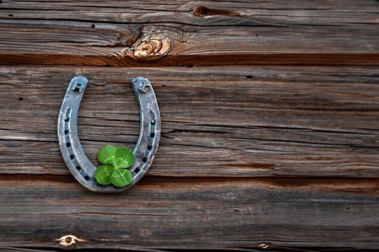 Fer à cheval + trèfle à 4 feuilles = porte bonheur 