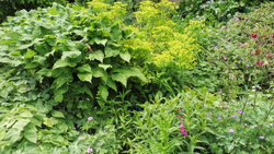 Visite du Jardin " la Maison "