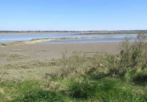 Randonnée sur le Domaine de Certes et Graveyron