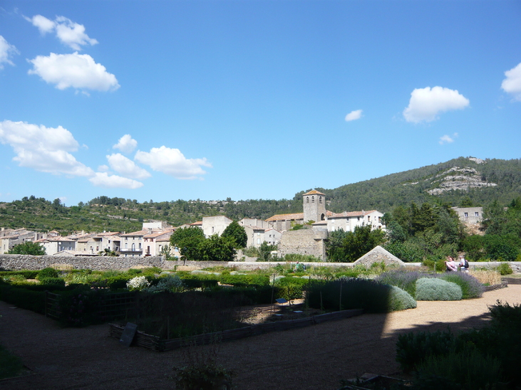 Lagrasse (11)