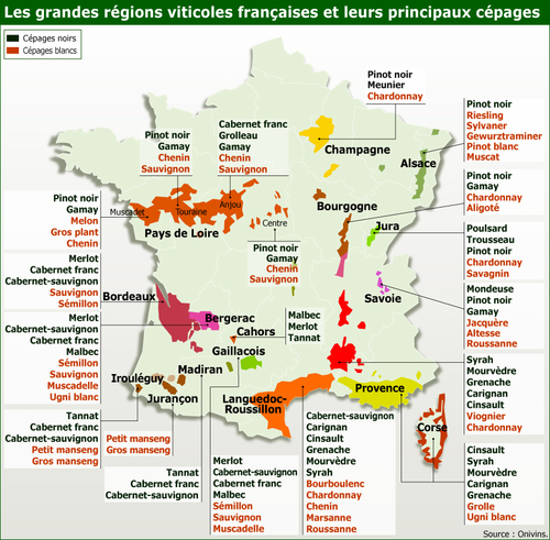 Carte des cépages de France