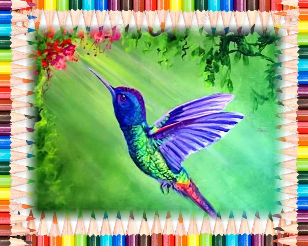 Dessin et peinture - vidéo 3320 : Comment peindre un oiseau coloré: le  colibri ? - acrylique ou huile. - Le blog de  lapalettedecouleurs.over-blog.com