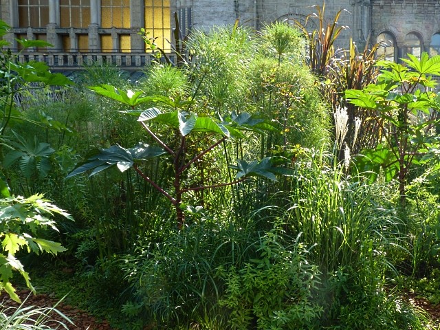 Jardin éphémère Metz gare 2011 26 Marc de Metz