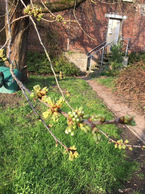 Un air de printemps