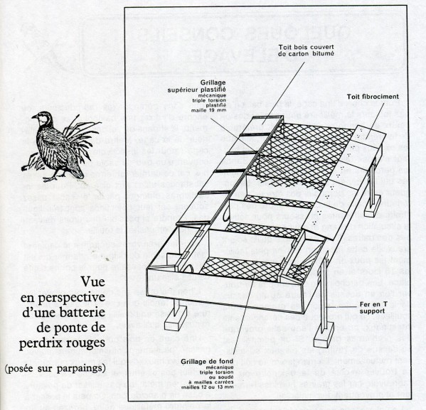 Batterie de ponte perdrix